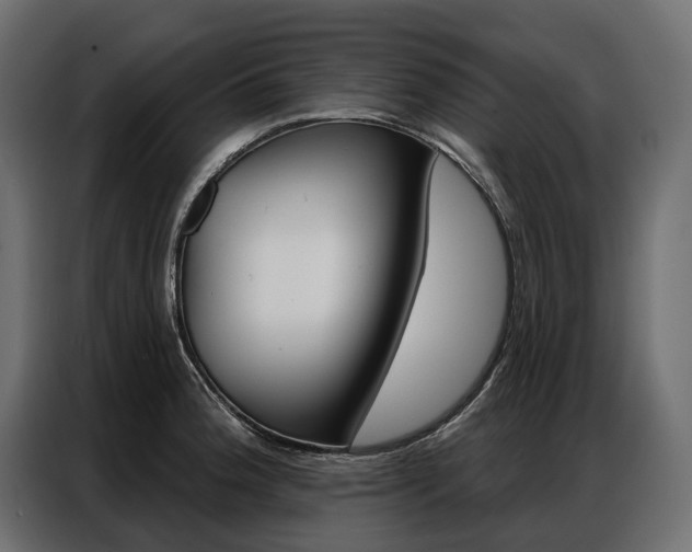 X0000086901188200704160940