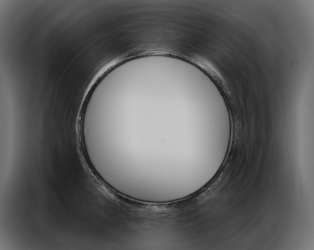 X0000086901190200704160940