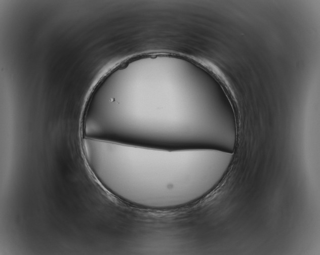 X0000086901191200704160940