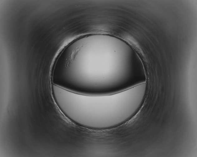 X0000086901192200704160940