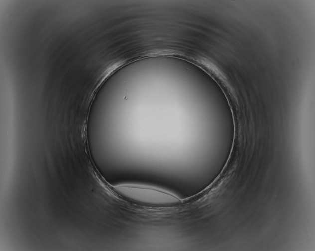 X0000086901193200704160940