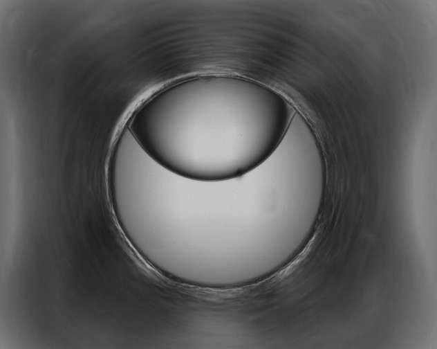 X0000086901196200704160940