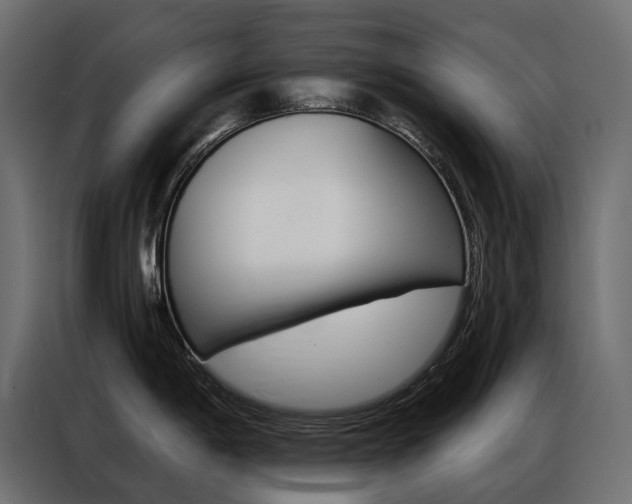 X0000086901198200704160940