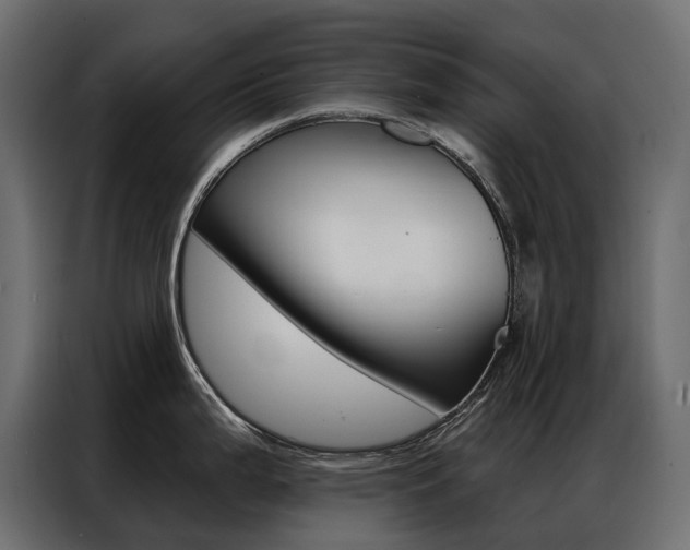 X0000086901199200704160939