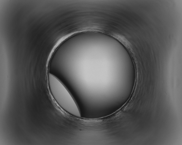 X0000086901200200704160939