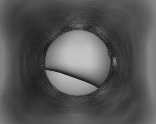X0000086901203200704160939