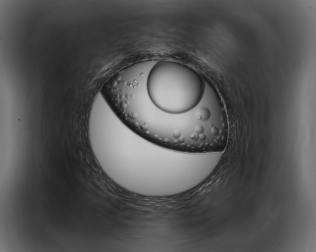 X0000086901205200704160939
