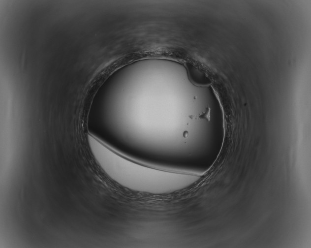X0000086901206200704160939