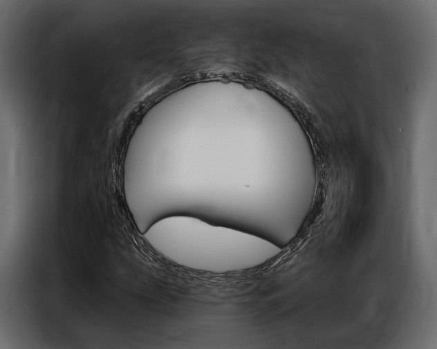 X0000086901207200704160939