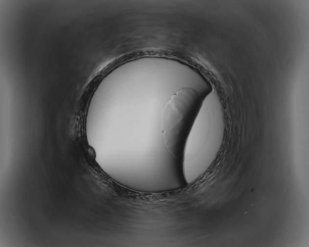 X0000086901208200704160939