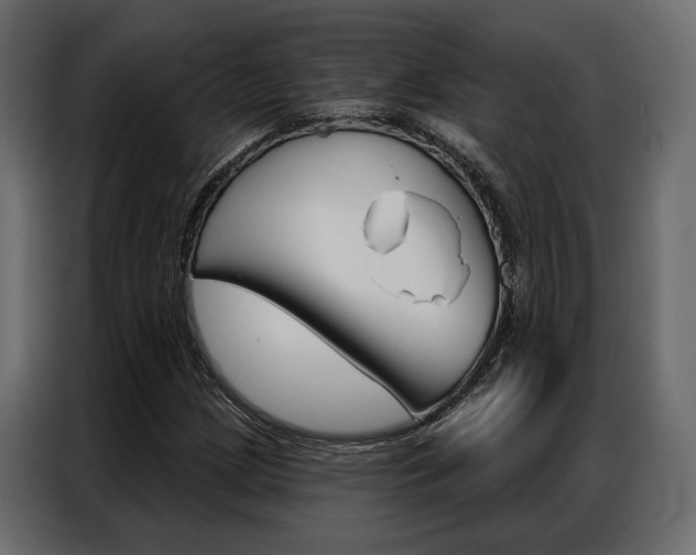 X0000086901209200704160939
