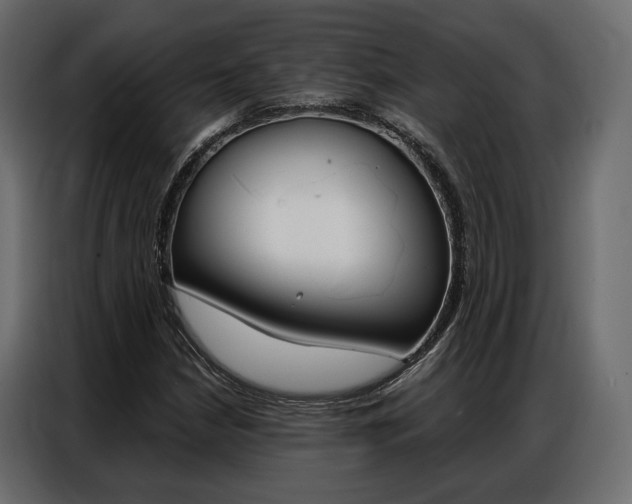 X0000086901210200704160939