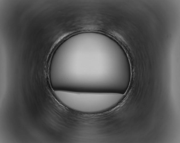 X0000086901212200704160939