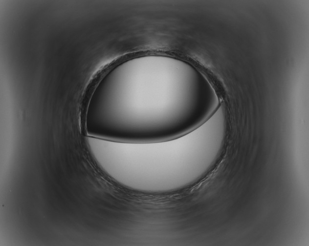 X0000086901214200704160939