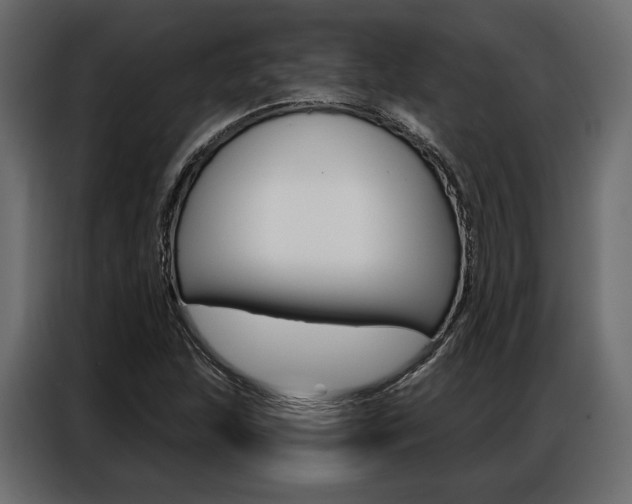 X0000086901215200704160939