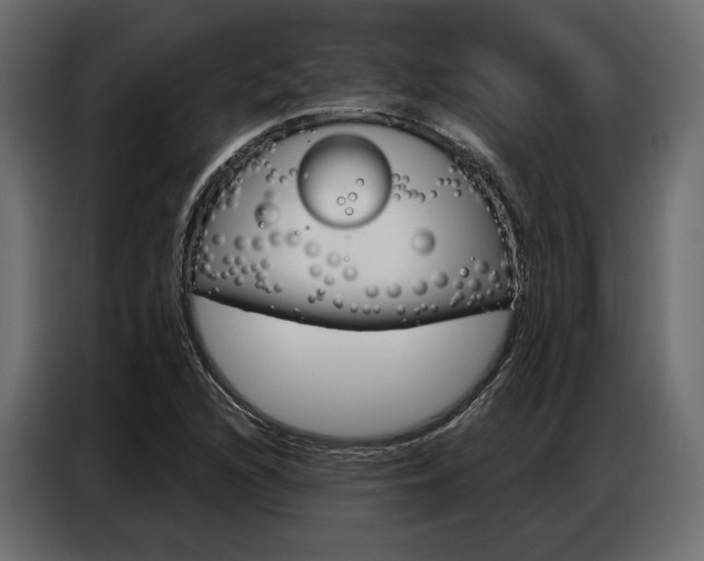 X0000086901216200704160939