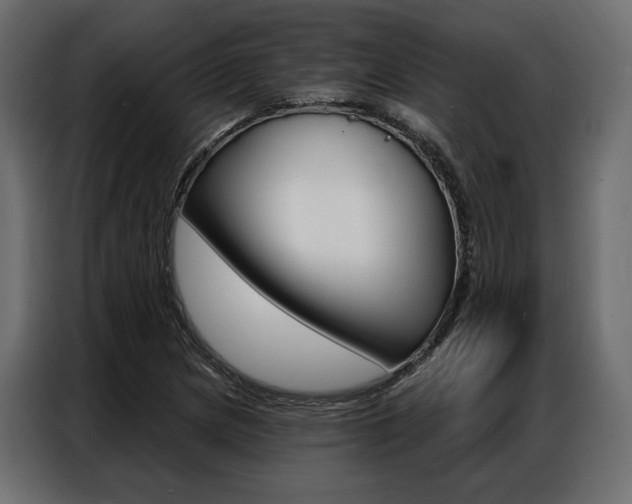 X0000086901217200704160939