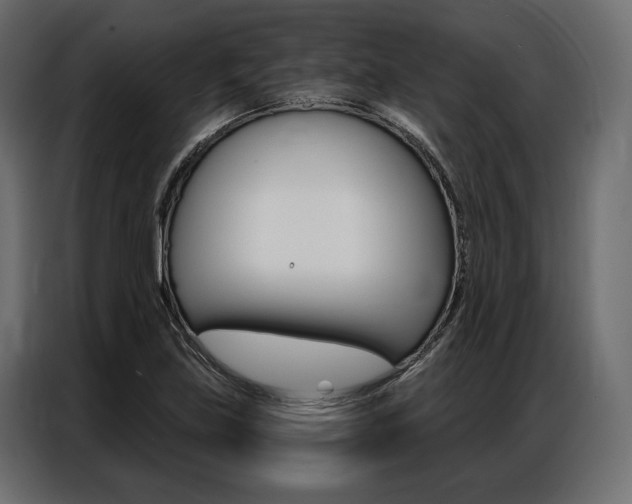 X0000086901219200704160939