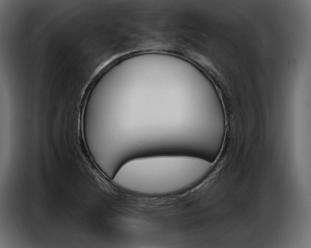 X0000086901220200704160939