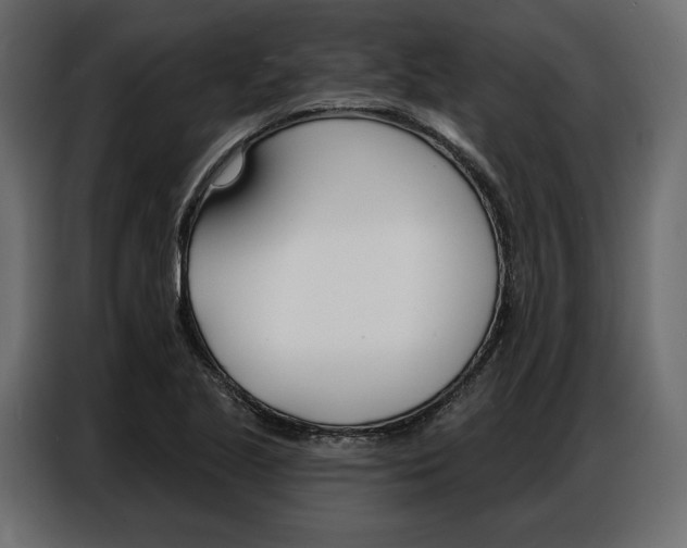 X0000086901221200704160939