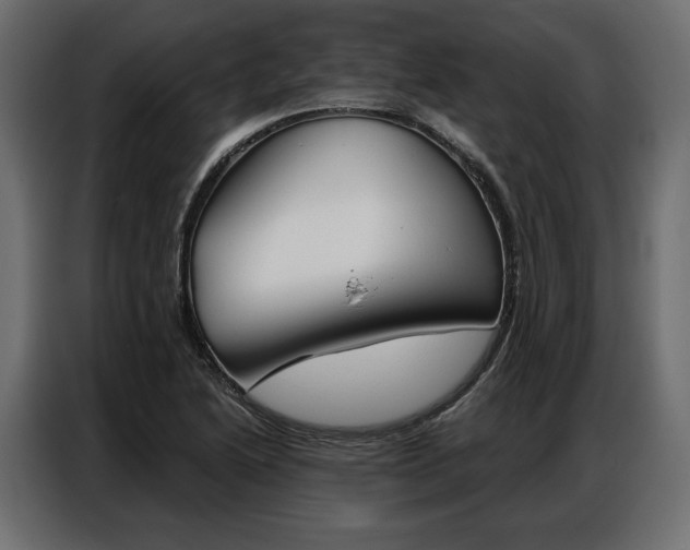 X0000086901222200704160939