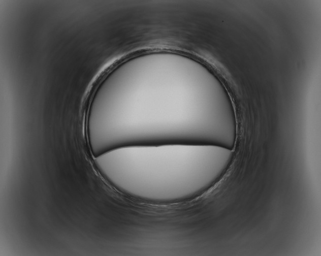X0000086901224200704160939