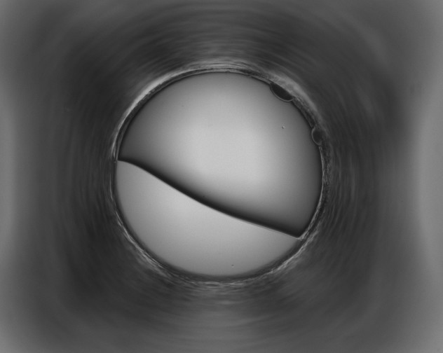X0000086901228200704160939