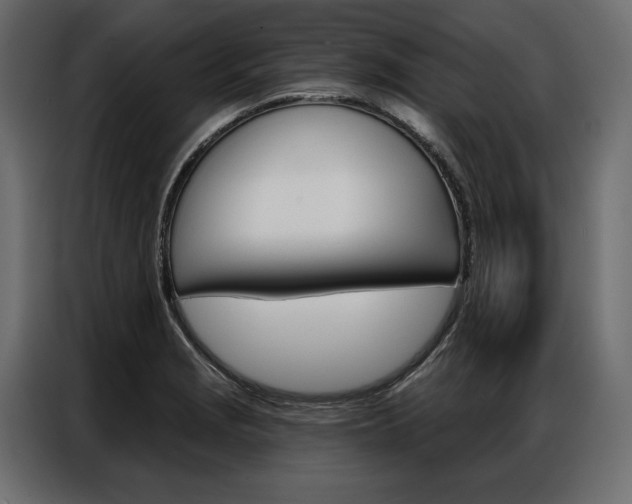 X0000086901229200704160939