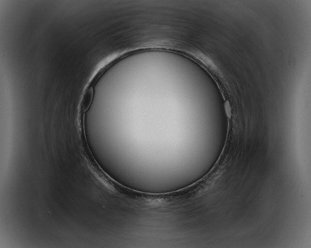 X0000086901230200704160939