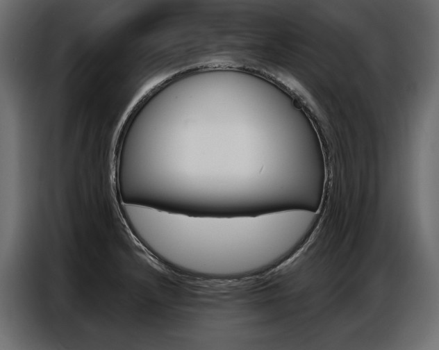 X0000086901232200704160939