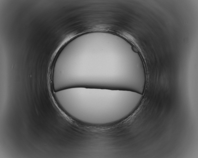 X0000086901235200704160939