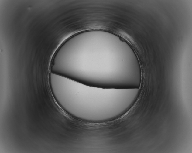 X0000086901236200704160939
