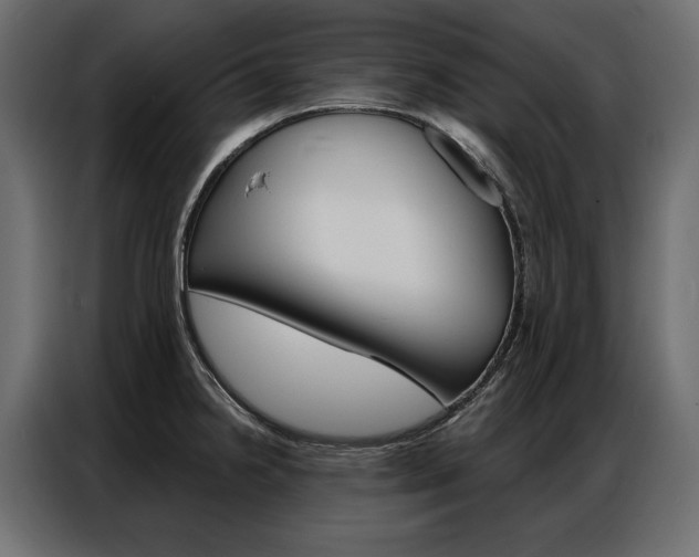 X0000086901238200704160939