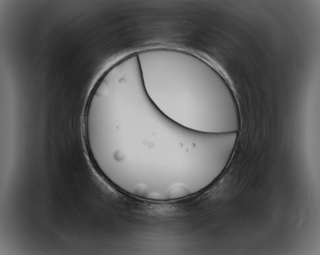X0000086901239200704160939