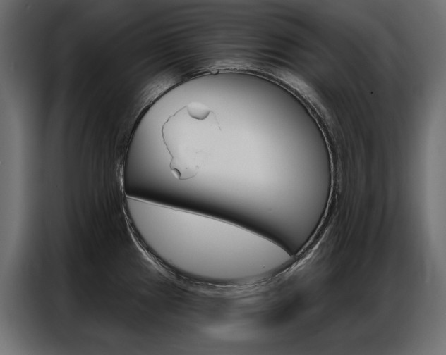 X0000086901241200704160939