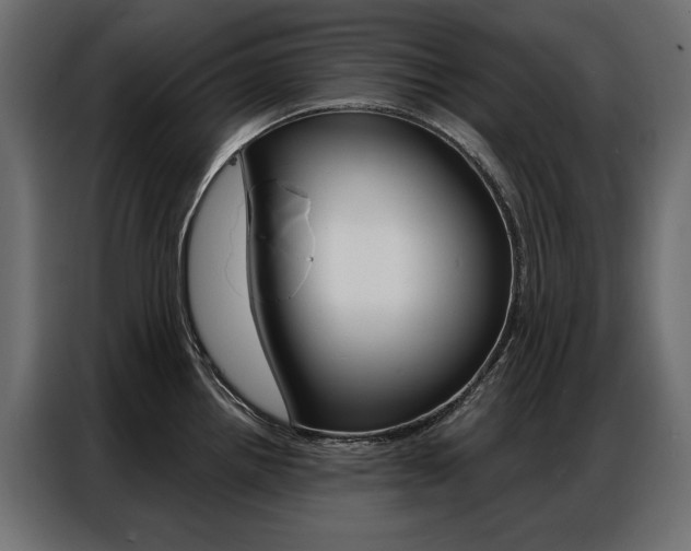X0000086901242200704160939