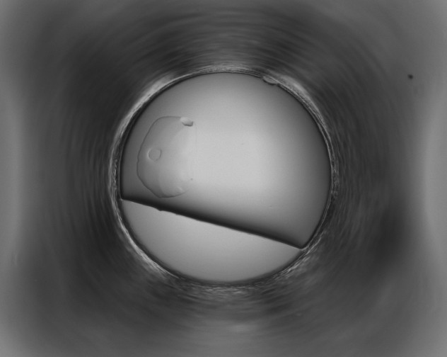 X0000086901243200704160939