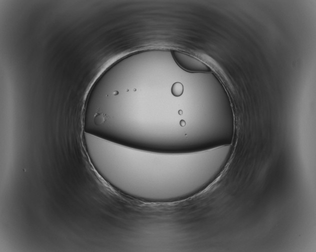X0000086901244200704160939