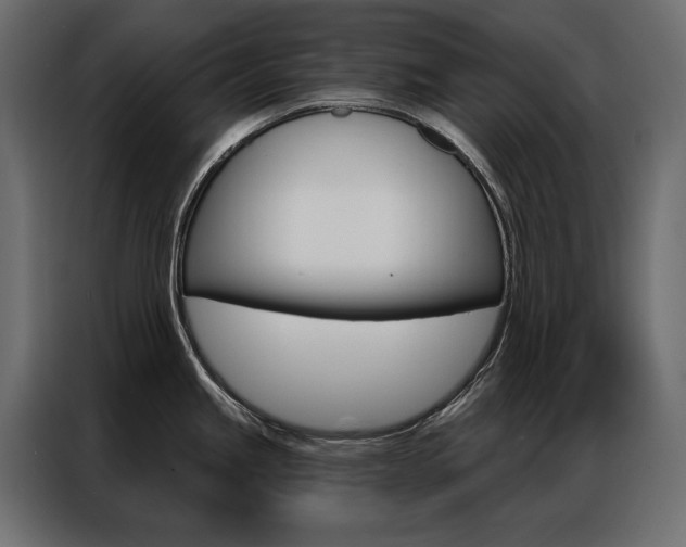 X0000086901245200704160939