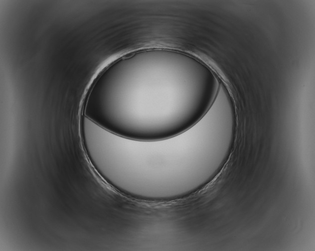 X0000086901246200704160939
