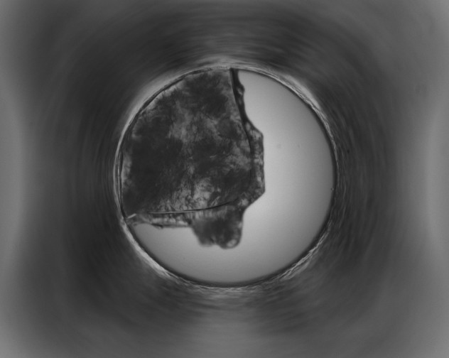 X0000086901247200704160939