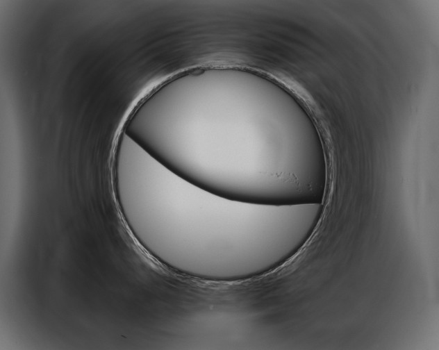 X0000086901248200704160939