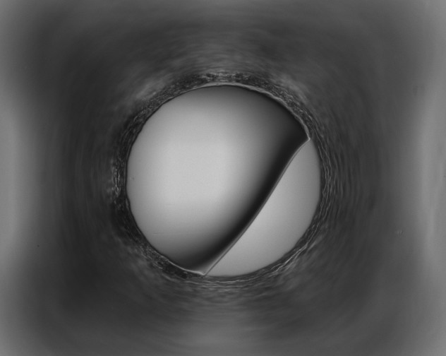 X0000086901253200704160939