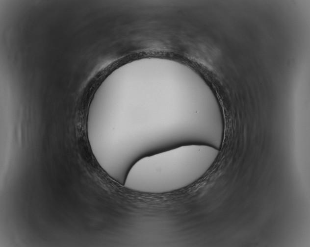 X0000086901255200704160939