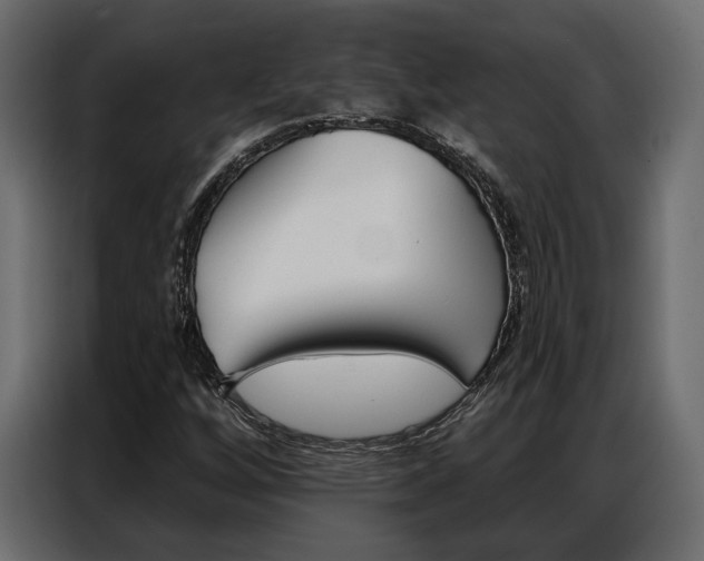 X0000086901256200704160939