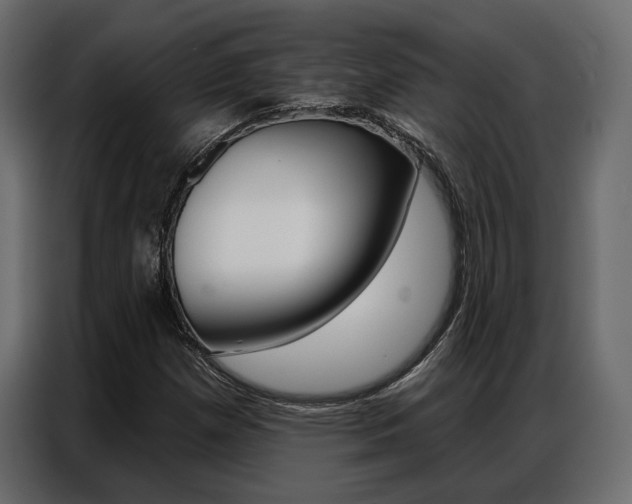 X0000086901257200704160939