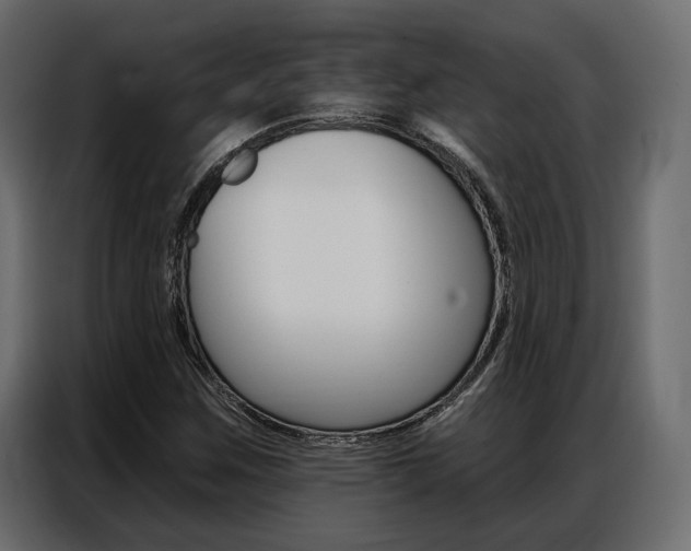 X0000086901259200704160939