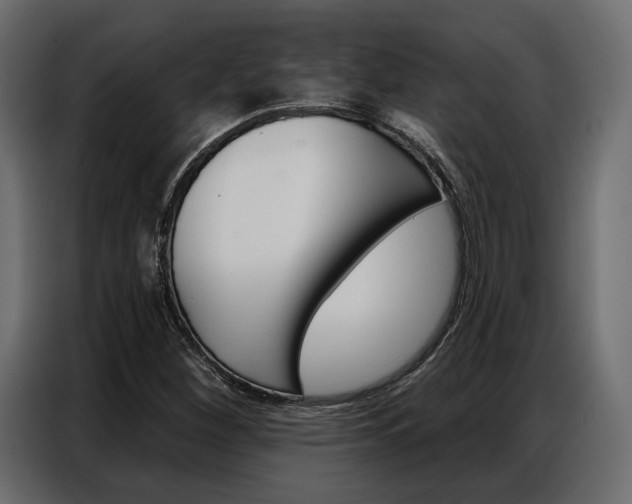 X0000086901260200704160939