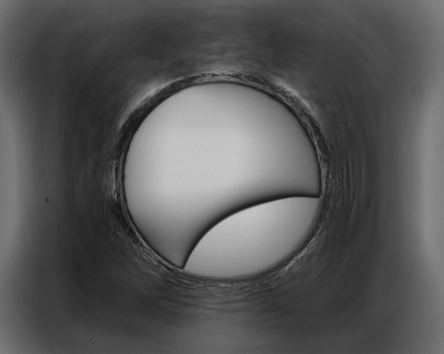 X0000086901262200704160939