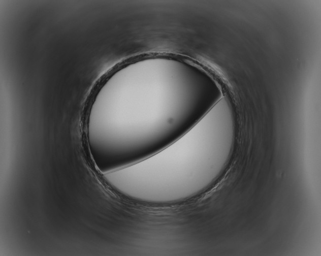 X0000086901264200704160939
